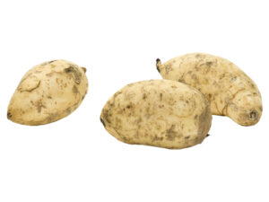 Weiße  Süßkartoffeln / White Potatoes 1kg