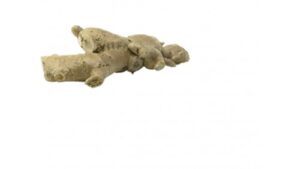 Ingwer Frisch. 1kg -