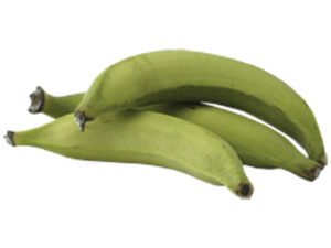 Grüne Babanen Preis/kg/ Plantain -
