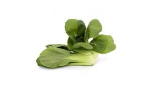 Shanghai Pakchoi. Preis/kg