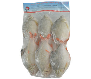 Rotflossenbarbe 100/200 1kg/ Asian Pearl-