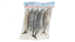 FREGATTENMARKELE (BONITO) ROH AUSGENOMMEN Aus Vietnam