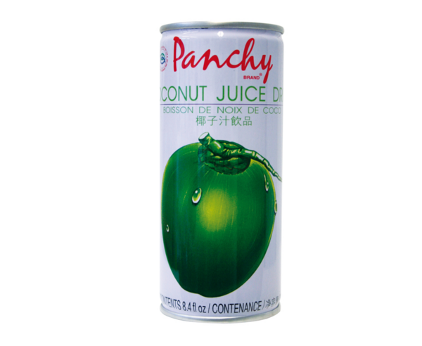 Fruchtsaftgetränk Kokos 250ml/Panchy -