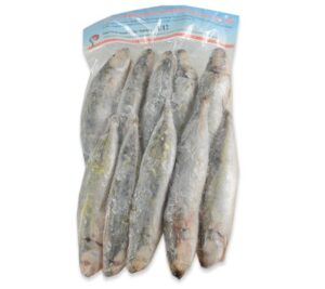 SCHILDMAKRELE ROH AUSGENOMMEN 1kg aus Vietnam