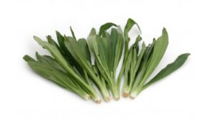 Europagras ( Lange Coriander) 100g/ Thai -