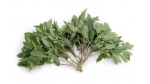 Basilikum Süß Frisch 100g /Thai