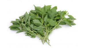 Basilikum  Scharf  Frisch 100g/ Thai -