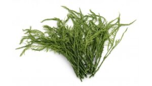 Chaomblätter 100 thai/ Chaom Leaf