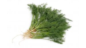 Dill (Thia la) 100g  / Thai -