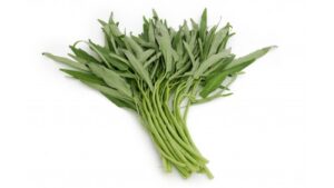 Green Morningglory 200g (Wasserspinat) Veggie -