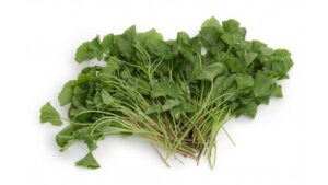 Asiatischer Wassernabel 100g Thai