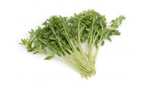 Kayangblätter (Ngo Om)100g Thai