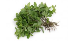 Pfefferminz 100g Thai /Mint