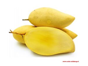 Yellow Mango Thai Fresh Preis/kg/  Veggie -