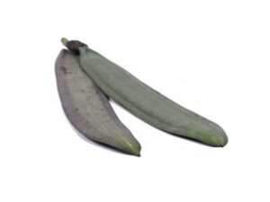 Linfah Thaifrische Preis/ kg. Veggie -