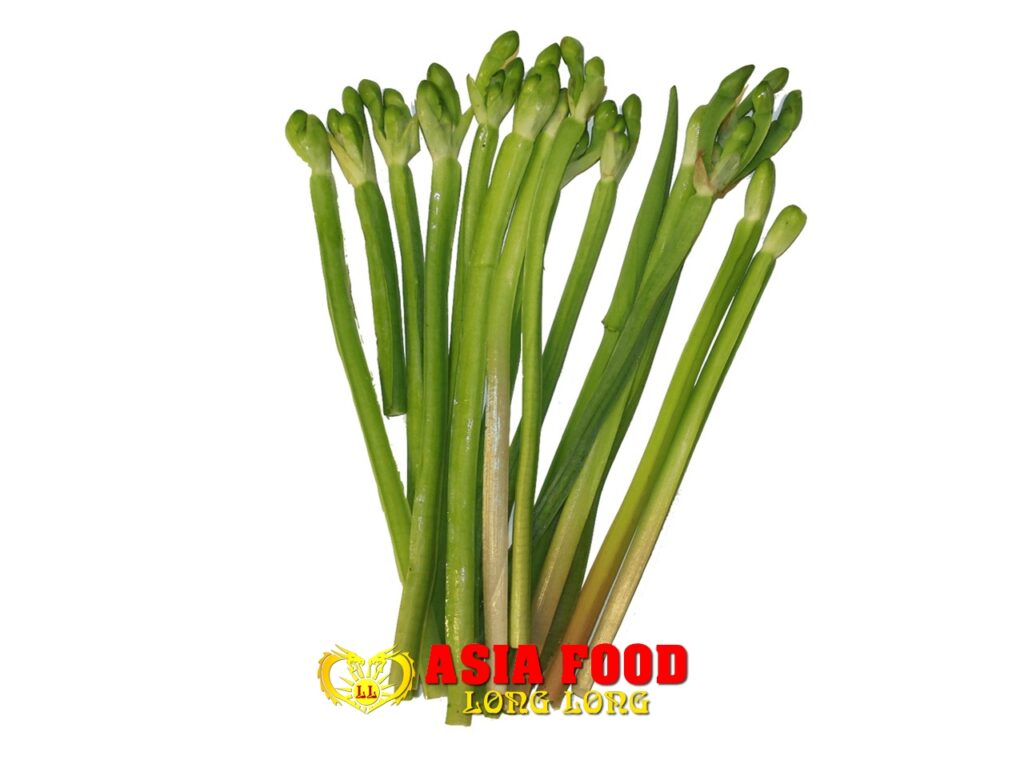 Kan-Jong-Leitfaden 100g/ Thailand-